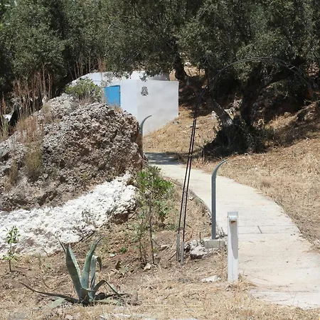 μικρό ανάδιο *