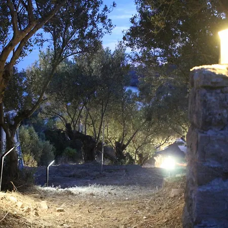 μικρό ανάδιο